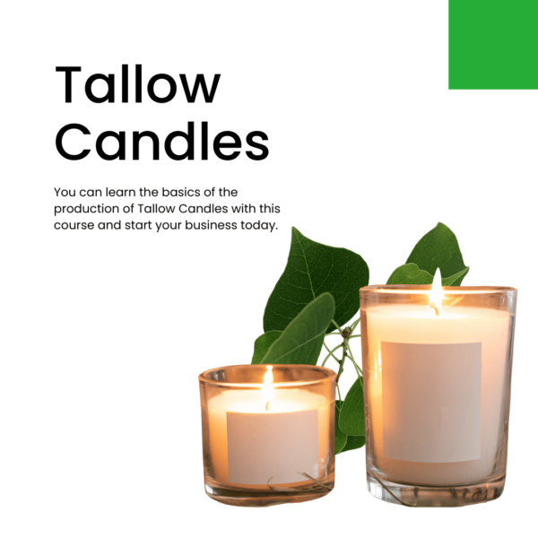 Tallow Candles