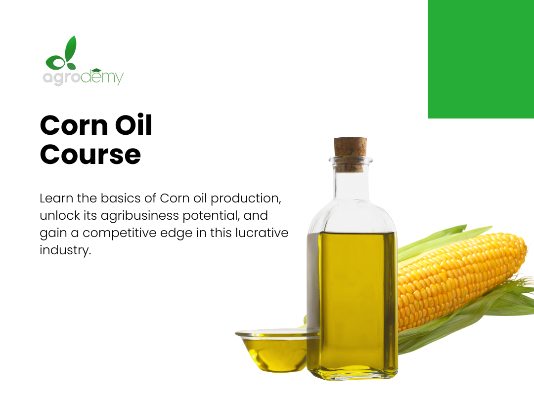 Corn Oil