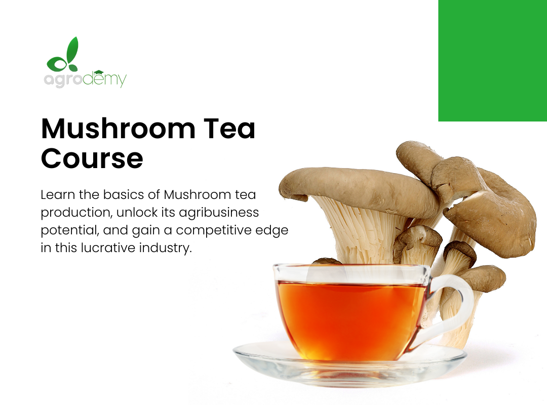 Mushroom Tea