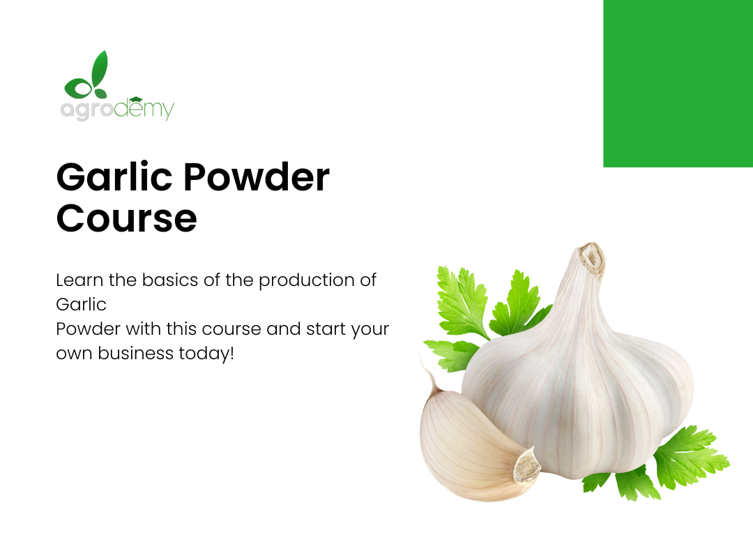 Garlic Powder