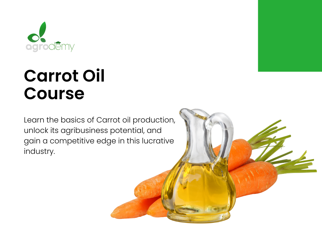 Carrot Oil