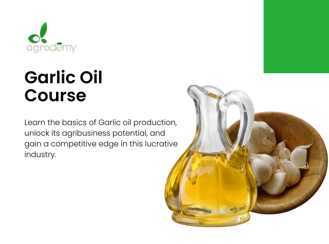 Garlic Oil