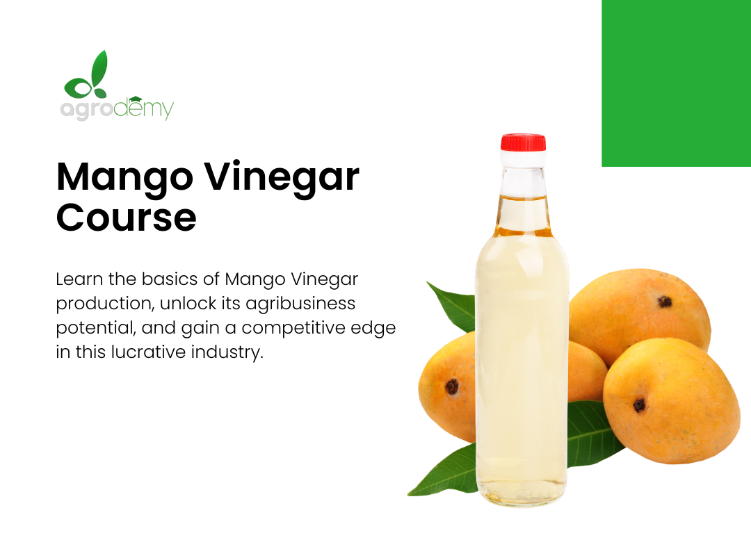 Mango Vinegar