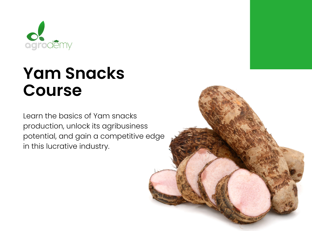 Yam Snacks