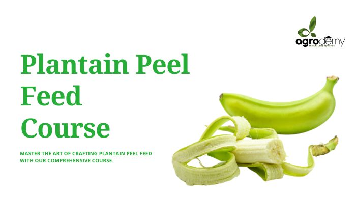 Plantain Peel Feed